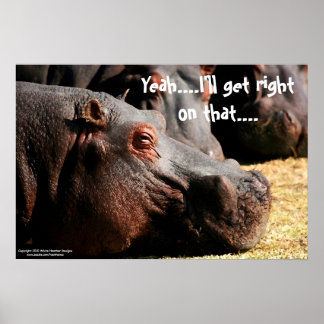 Atitude de Hippo "Eu vou acertar nisso" poster