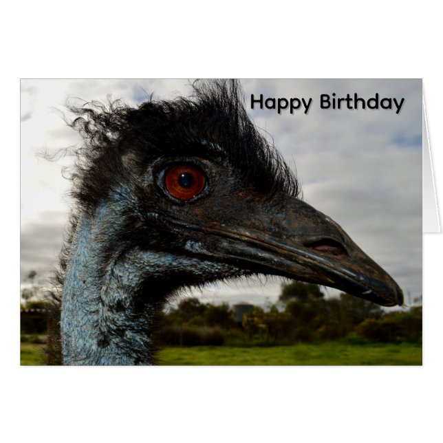 Atração Aussie Emu, Cartão de Aniversário (Frente Horizontal)
