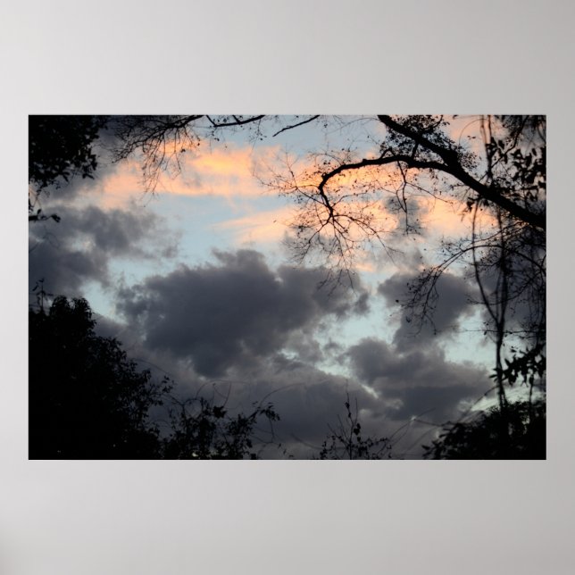 Através da Poster das árvores (Frente)