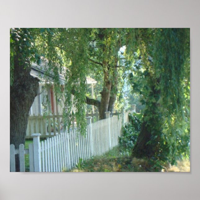 Através Da Poster Selvagem De Vômito (Frente)