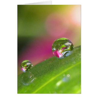 Através do cartão do espelho