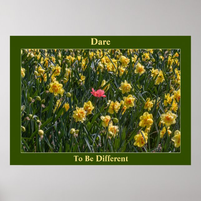 Atreve-Se A Ser Poster De Daffodils Diferentes (Frente)