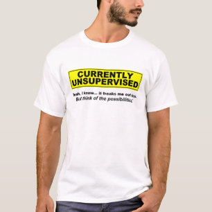 Atualmente Camiseta Divertida Sem Supervisão