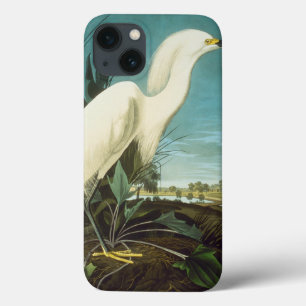 Áudio: Egret