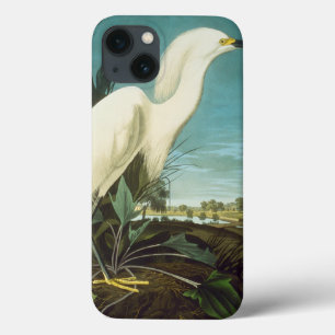 Áudio: Egret