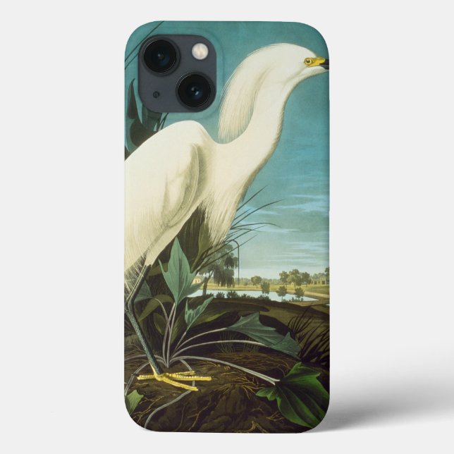 Audubon: Egret (Verso)