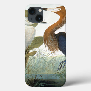 Audubon: Egret avermelhado ou garça-real roxa