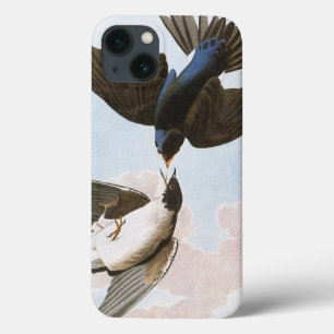 Audubon: Tree Swallow