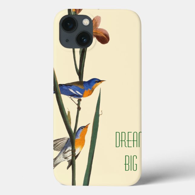 Audubon: Warbler (Verso)