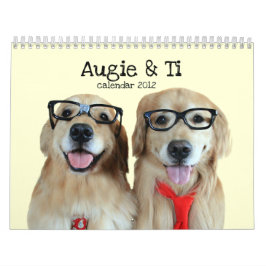Augie & calendário 2012 do golden retriever do Ti