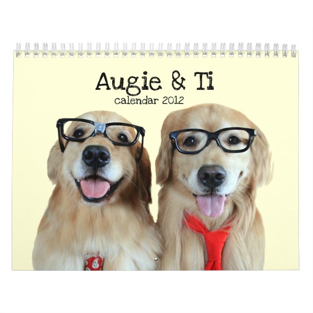 Augie & calendário 2012 do golden retriever do Ti (Capa)