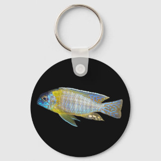 Aulonocara steveni chaveiro