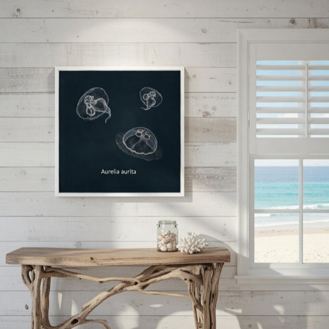 Aurelia aurita Poster educacional (Criador carregado)