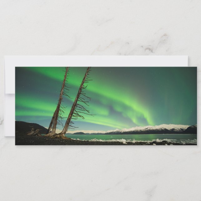 Aurora de árvore inclinada (Frente)