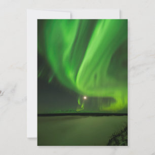 Aurora Flutuante