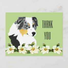 Aussie Blue Merle Dog Obrigado Cartão Postal