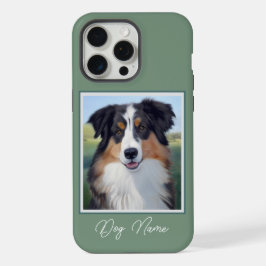 Australian Shepherd Portrait -