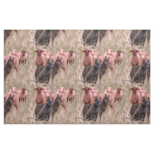 Australiano Kelpie com tecido de ovelhas