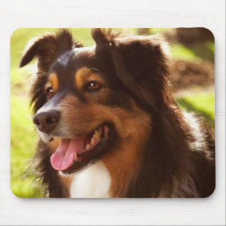 Australiano Shephard Mousepad