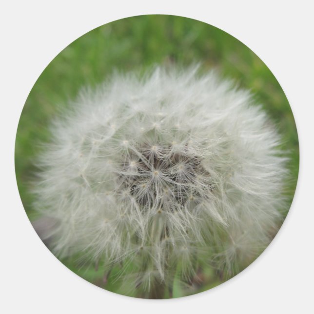 autocolante (Frente)