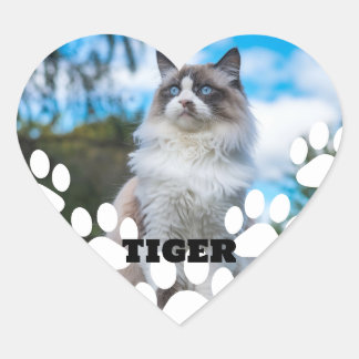 Autocolante de Foto de Cat Personalizado com Nome