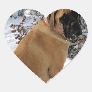 Autocolante de fotografia "Snow Pose", do Mastiff