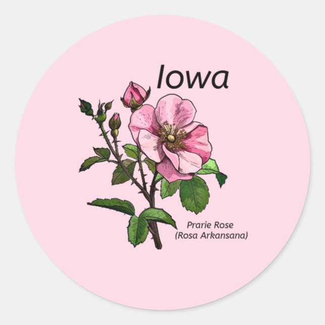 Autocolante de Iowa State (Frente)