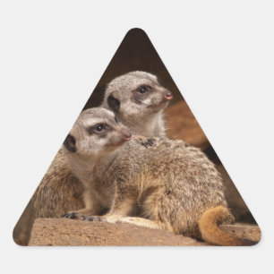 Autocolante do triângulo Meerkat