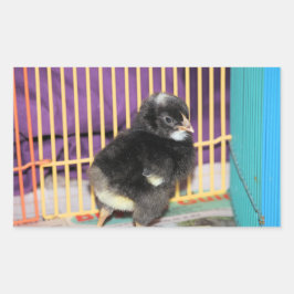 Autocolante Pular Quadrado