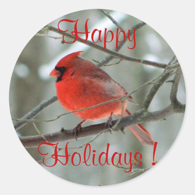 Autocolante vermelho (inverno) (Frente)