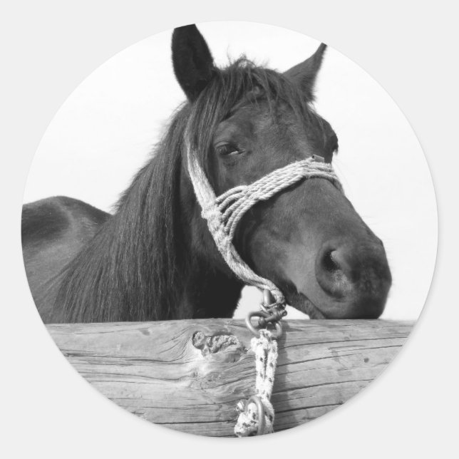 Autocolantes (Frente)