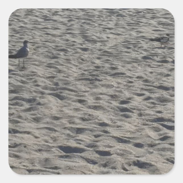 Autocolantes (Frente)