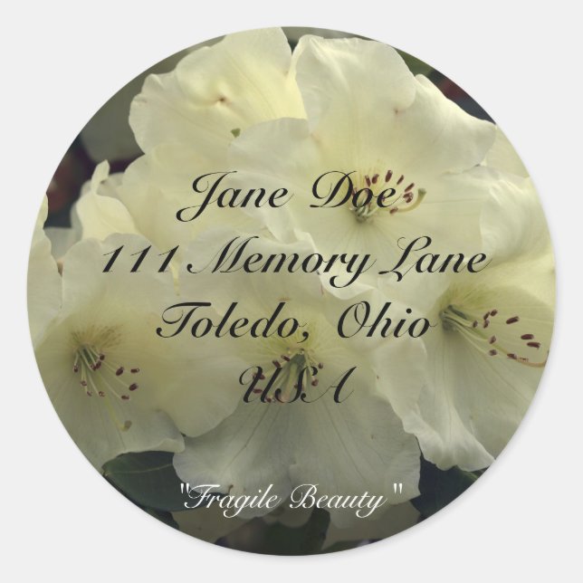 Autocolantes (Frente)