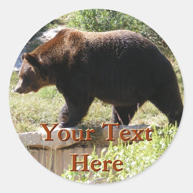 Autocolantes (Frente)