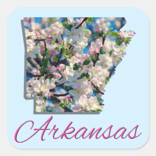 Autocolantes - ARKANSAS