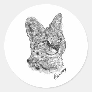 Autocolantes - Cassidy