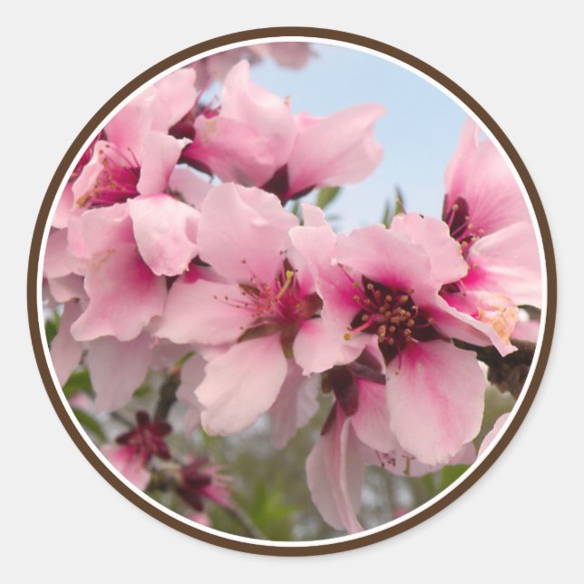 Autocolantes cor-de-rosa (Frente)