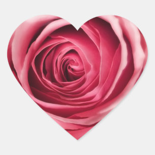 Autocolantes cor-de-rosa cor rosa