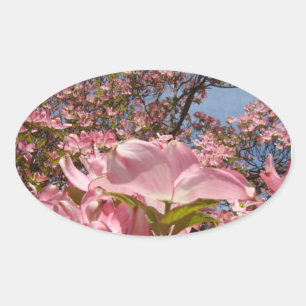 Autocolantes cor-de-rosa Dogwood Personalização fl
