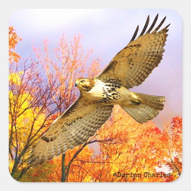 Autocolantes de "Alta Flyer" (Frente)