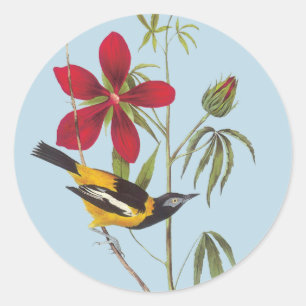 Autocolantes de Arte de Aves