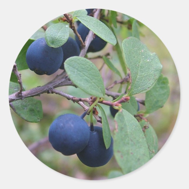 Autocolantes de Berries (Frente)