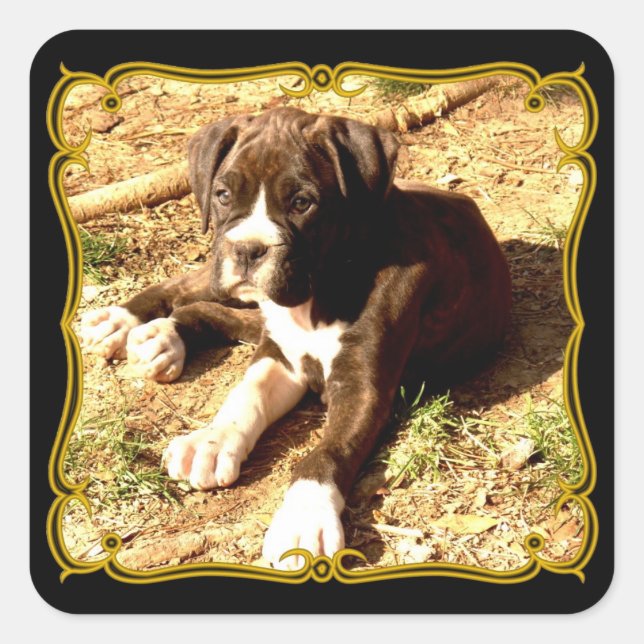 Autocolantes de cachorrinho (Frente)