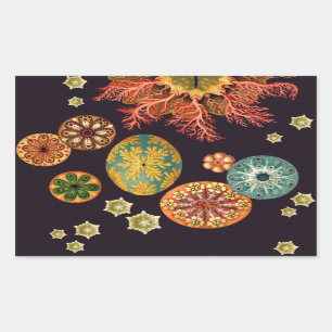 Autocolantes de Escamas-do-mar