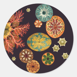 Autocolantes de Escamas-do-mar