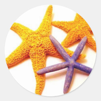 Autocolantes de Estrelas de Verão