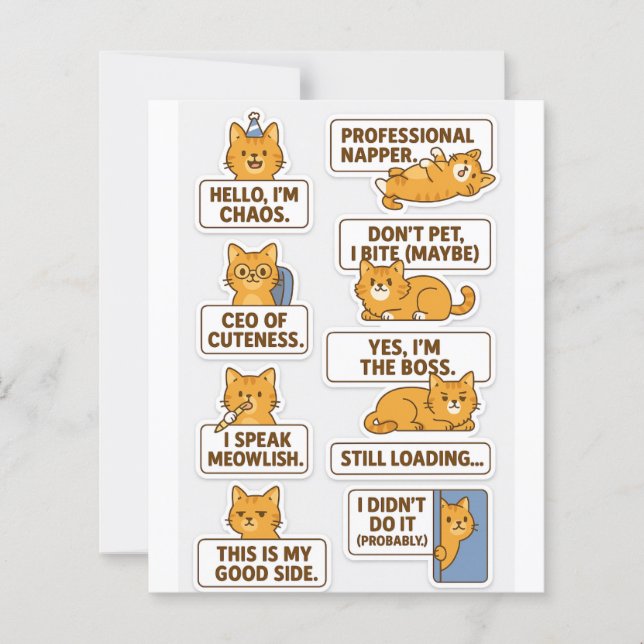 "Autocolantes de Gato Engraçados e Bonitos - Scrap (Frente)