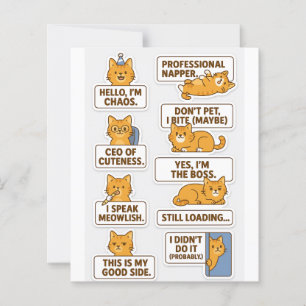 "Autocolantes de Gato Engraçados e Bonitos - Scrap