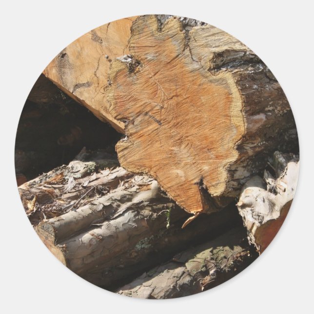 Autocolantes de madeira (Frente)