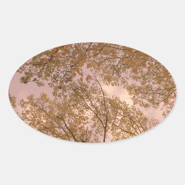 Autocolantes de Rosa (Frente)